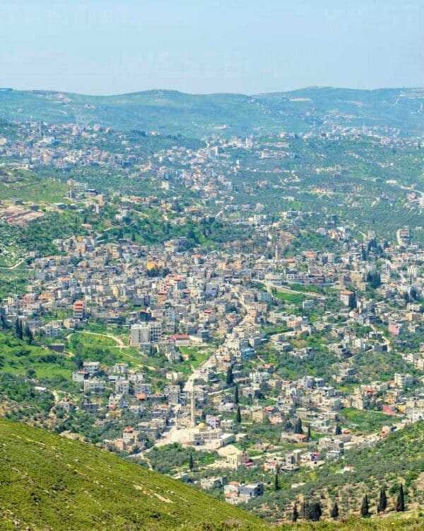 Jaba Jenin Overview