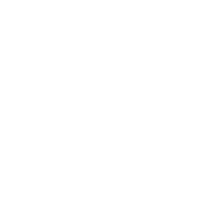 Authenticity Badge.jpg